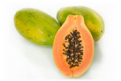 Red_Pawpaw__73807