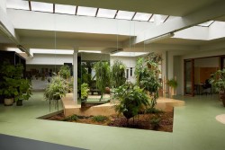 inspiring-studio-office-design-with-hanging-potted-plants-and-garden-space-also-glass-door-and-wooden-door-frame-ideas
