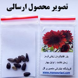0 (34) copy