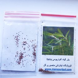 20160810_173641 copy