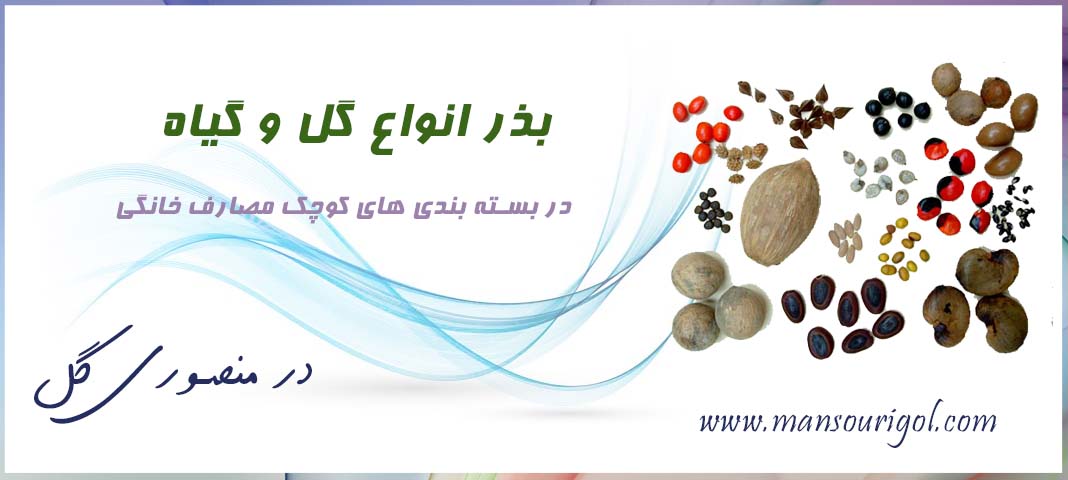 بذر گل، فروشگاه اینترنتی گل و گیاه منصوری