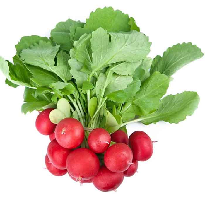 بذر تربچه ایرانی درجه یک