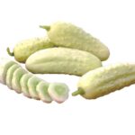 بذر خیار سفید خاردار