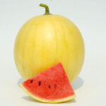 بذر هندوانه خاص و کمیاب پوست زرد