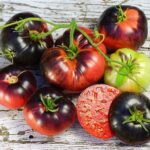 بذر گوجه رقم بلو بیوتی