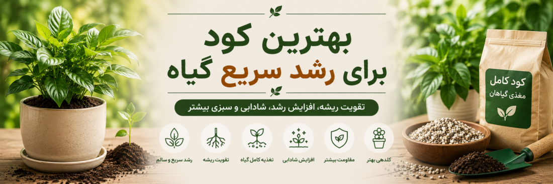 بهترین کود برای رشد سریع گیاه