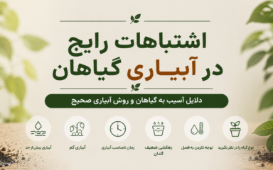 اشتباهات رایج در آبیاری گیاهان