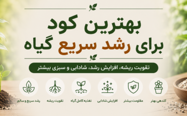 بهترین کود برای رشد سریع گیاه
