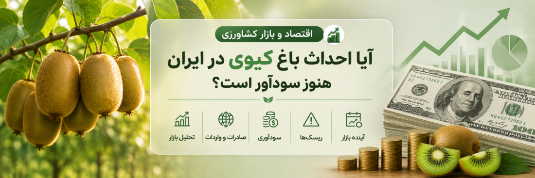 سود احداث باغ کیوی