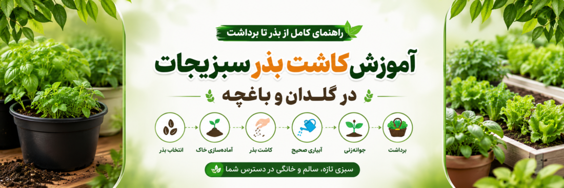 آموزش کاشت بذر سبزیجات در گلدان و باغچه؛ راهنمای کامل از بذر تا برداشت