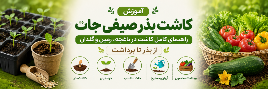 آموزش کاشت بذر صیفی‌جات