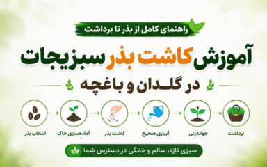 آموزش کاشت بذر سبزیجات در گلدان و باغچه؛ راهنمای کامل از بذر تا برداشت