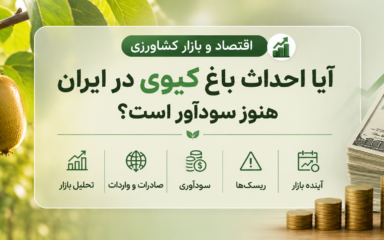 سود احداث باغ کیوی