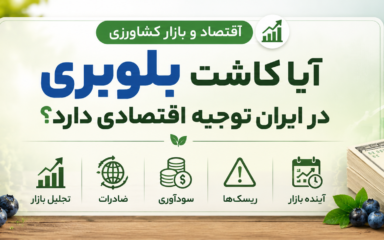 سود کاشت بلوبری در ایران