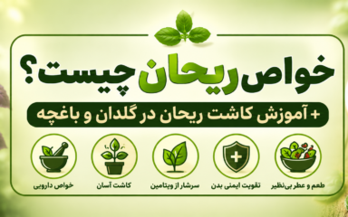 خواص ریحان چیست؟ + آموزش کاشت ریحان در گلدان و باغچه