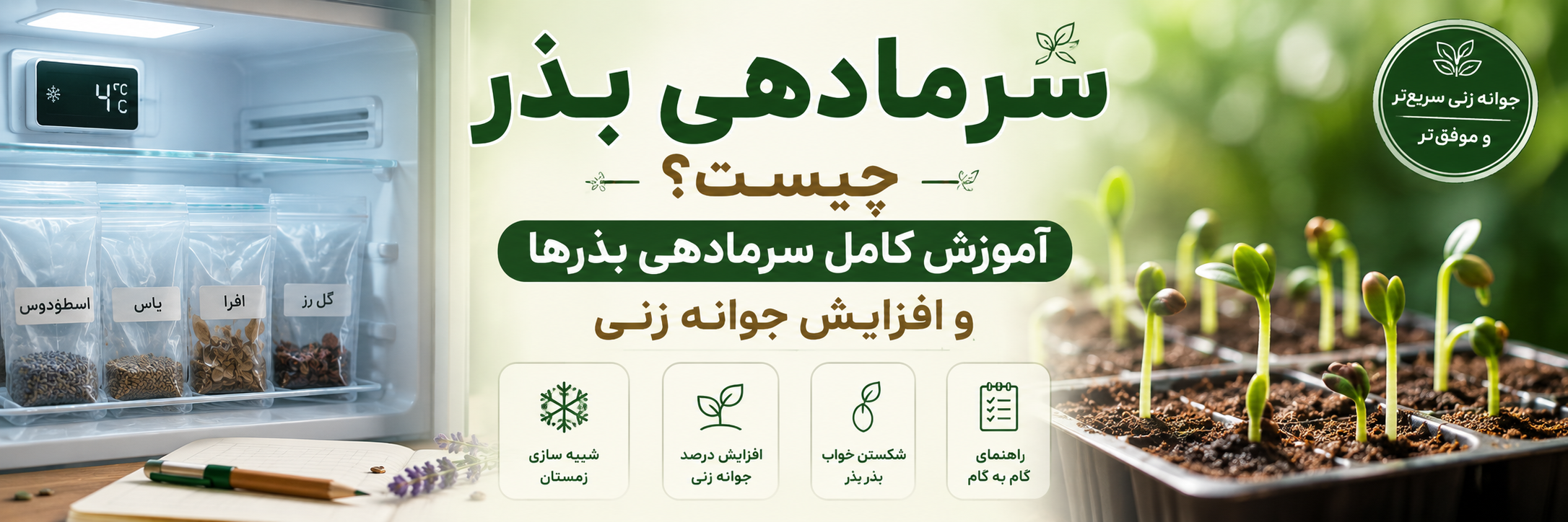 سرمادهی بذر چیست؟ آموزش کامل سرمادهی بذرها و افزایش جوانه زنی