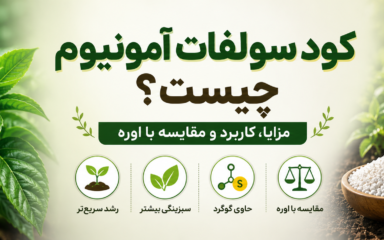 کود سولفات آمونیوم چیست؟