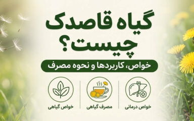 خواص گیاه قاصدک