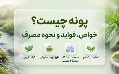 خواص گیاه پونه