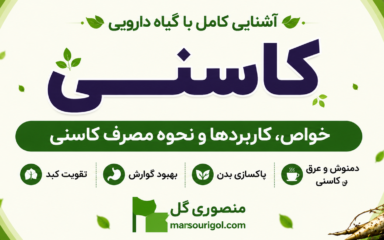 گیاه کاسنی چیست و خواص آن در طب سنتی