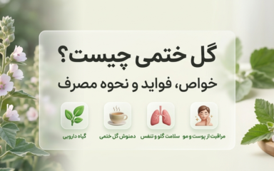 خواص گیاه گل ختمی