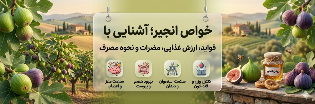 خواص انجیر
