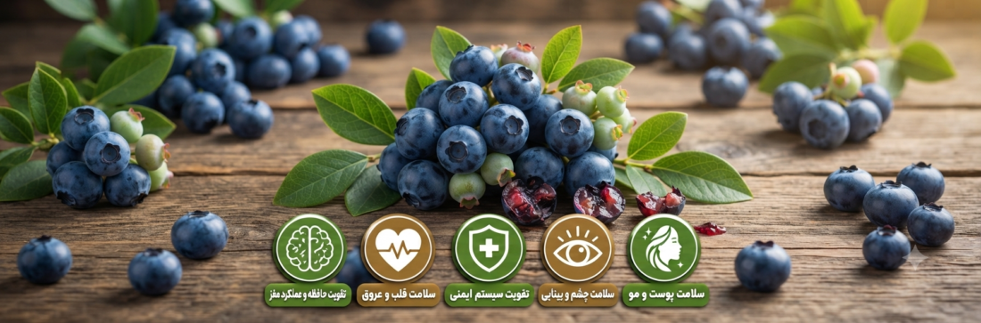 خواص بلوبری