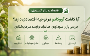 کاشت آووکادو در ایران