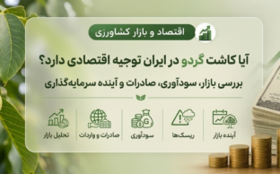 آیا کاشت گردو در ایران توجیه اقتصادی دارد؟ | بررسی بازار، سودآوری، صادرات و آینده سرمایه‌گذاری
