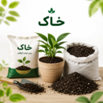 خاک