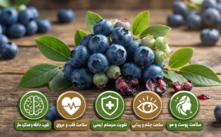 خواص بلوبری
