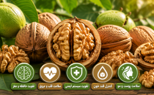 خواص گردو