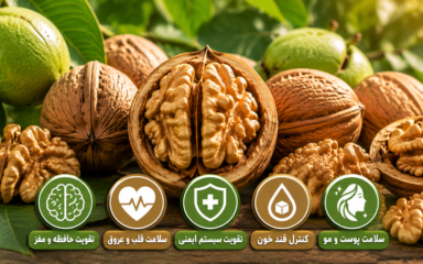 خواص گردو