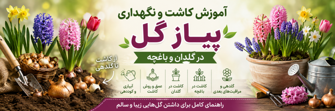 آموزش کاشت و نگهداری پیاز گل در گلدان و باغچه؛ از کاشت تا گلدهی