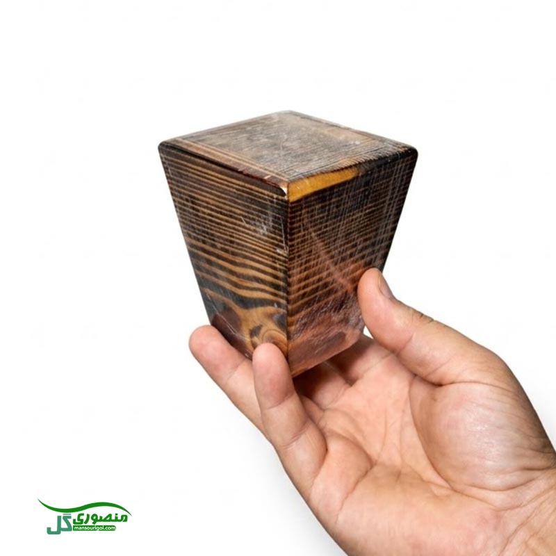 گل اکسالیس بنفش